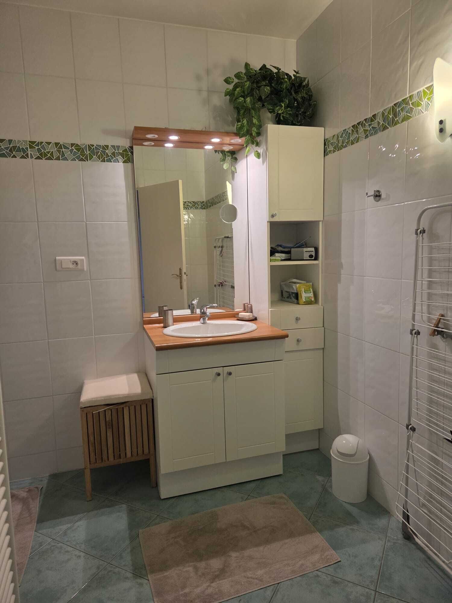 A bathroom with a sink, mirror, cabinet, and shower.