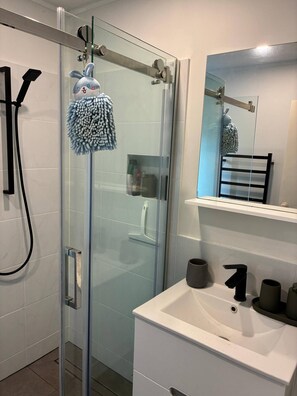 A bathroom with a glass shower enclosure, a white sink, and a mirror above the sink. - A Piece of Paradise With Your own Entrance! (Auckland)