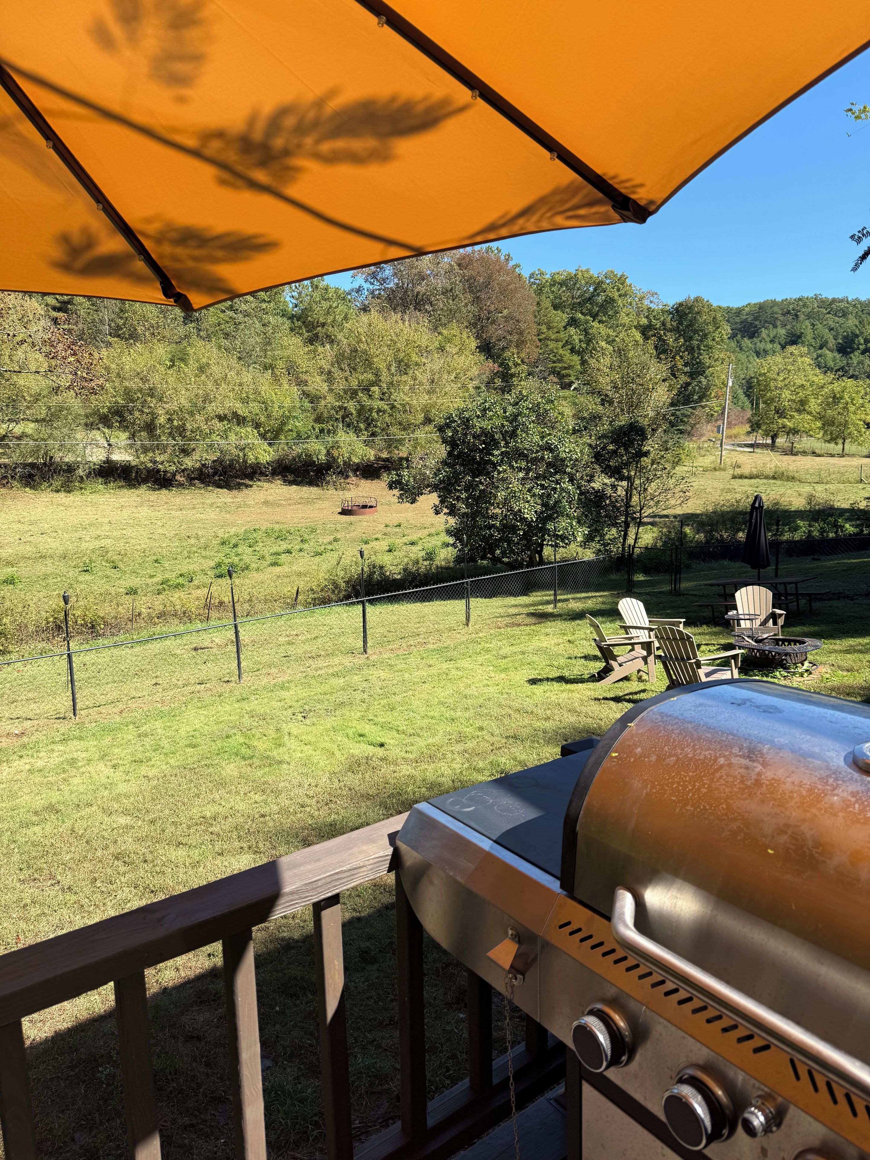 Una parrilla para barbacoa bajo un paraguas amarillo, un campo cubierto de césped y árboles al fondo.