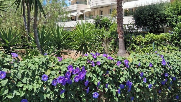 A multi-story building with balconies, surrounded by lush greenery and a palm tree. - Air-conditioned 2-room apartment with a terrace, a 3-minute walk from the beach and restaurants (Cagnes-sur-Mer)