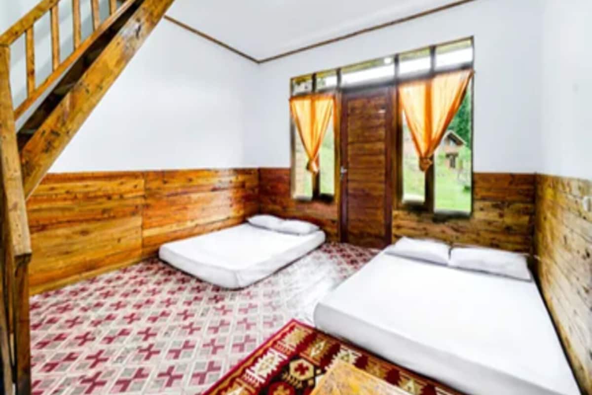 Una habitación con paredes de madera, una escalera, dos camas, un tapete estampado y una ventana con cortinas.