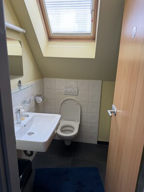 A compact bathroom with a skylight, a sink, and a toilet. - Mini-Teater Suites - Apartment 6 - sleeps 5 guests  in 2 bedrooms (Ljubljana)