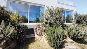 A modern house with large windows, a stone pathway, and various shrubs.
