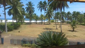 A view of a beach with palm trees and a fenced area.