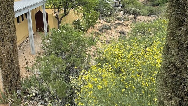 A desert landscape with sparse vegetation, a building with a flat roof, and distant mountains under a cloudy sky. - Cozy 1-bedroom studio in rural Tucson with AC,beautiful view (Tucson)