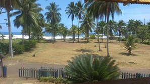 Blick auf einen Strand mit Palmen und einem eingezäunten Bereich.