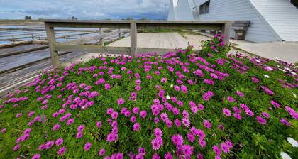 Houseboat Aveiro 4