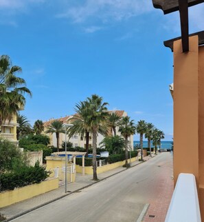 Eine Küstenstraße, gesäumt von Palmen und Gebäuden, die zum Meer führt.