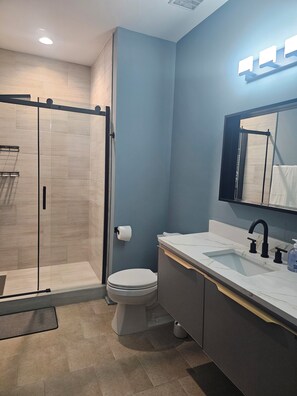 A modern bathroom with a glass shower enclosure, a toilet, and a vanity with a sink and mirror. - Large Midtown near GA Tech home great for Corporate stays- 3 King Beds (Atlanta)