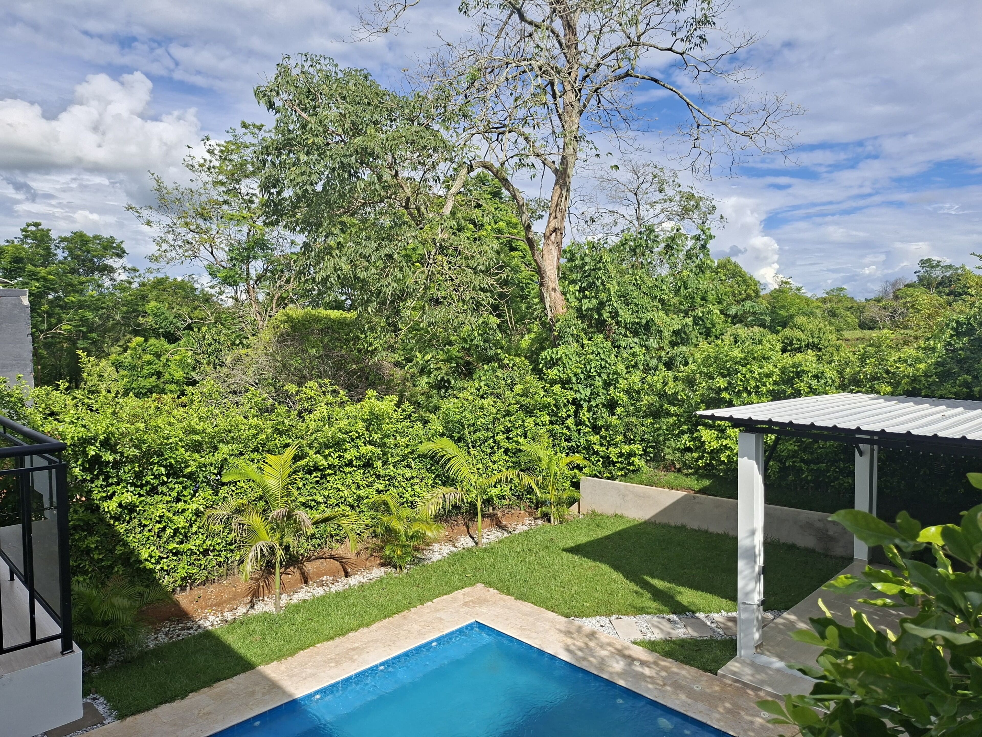 A swimming pool surrounded by lush greenery and trees, with a covered structure nearby.
