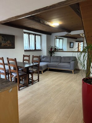 Un coin repas avec une table et des chaises en bois, un canapé gris et une plante en pot rouge.