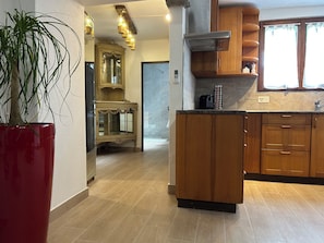 A modern kitchen with wooden cabinets, a built-in stove, and a potted plant.