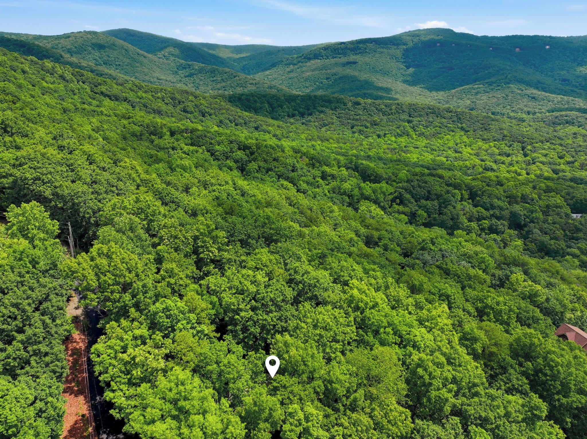 A dense forest with a winding road and a white location marker.
