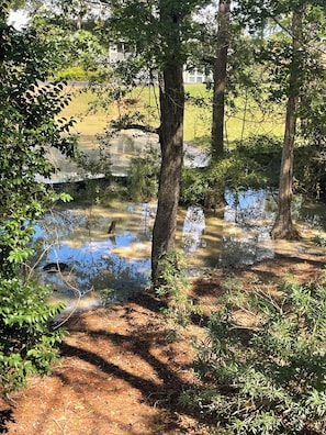 A natural outdoor setting with trees, a pond, and a grassy area. - Cozy 2-bedroom house in amazing Myrtle Beach with AC (Myrtle Beach)