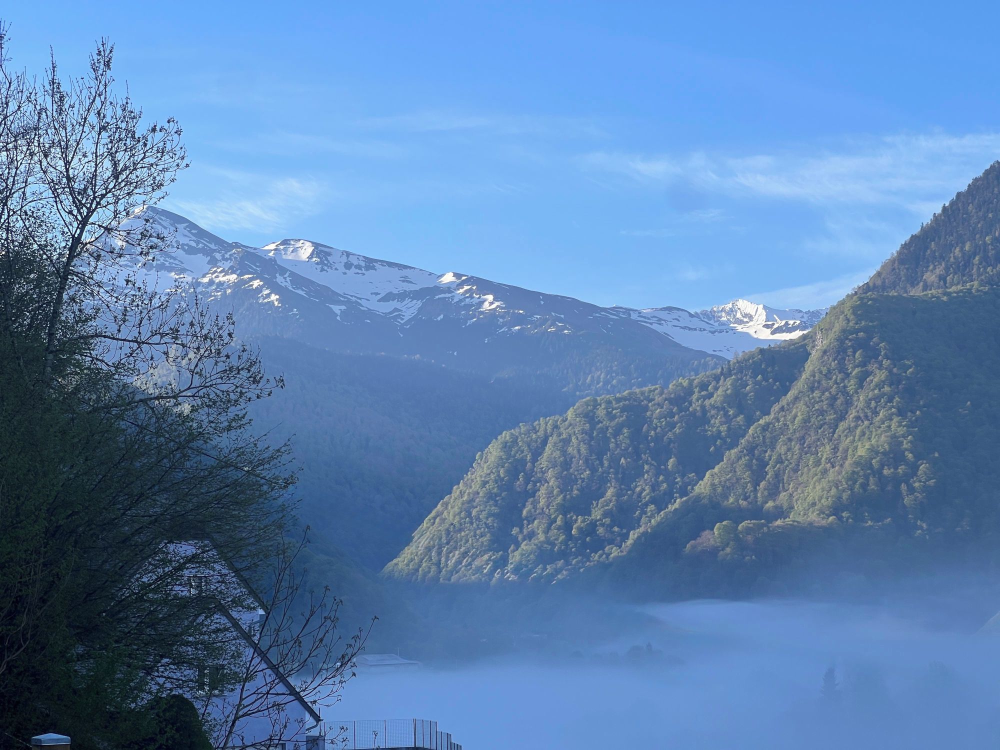 Un paysage montagneux avec des sommets enneigés et des collines densément boisées.