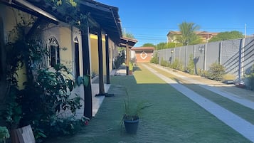 Um pátio com gramado verde, uma planta em vaso e um edifício com colunas.