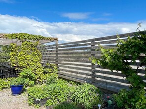 A wooden fence with climbing plants, a blue pot, and various greenery. - 5 Star Holiday Home in Morbylanga (Morbylanga)