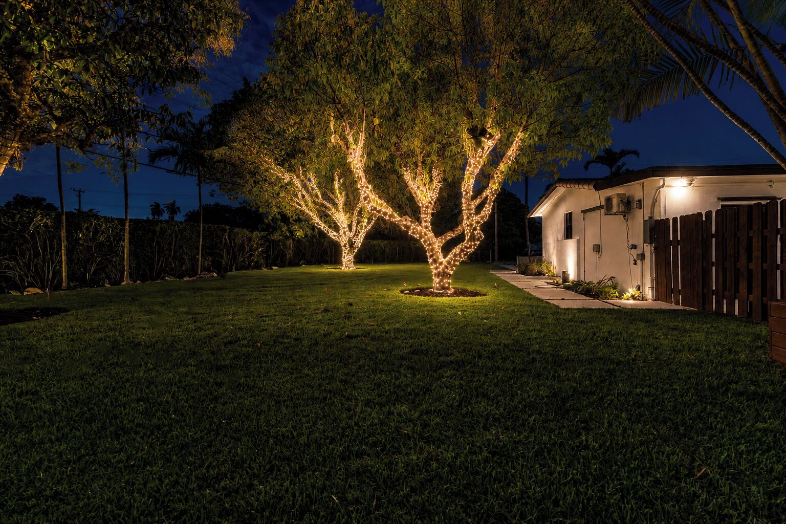 A well-lit tree with string lights in a residential backyard at night.