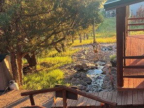 A wooden deck with a view of a stream and trees.
