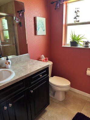 Shower, hair dryer, towels, soap - 3-bedroom house in Rotonda West  golfing, beaches, fishing, shopping, Disney (Rotonda West)