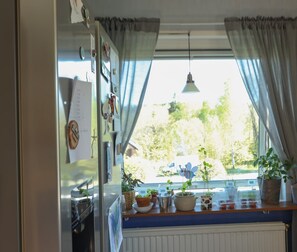 A kitchen with a window, potted plants, and a hanging light fixture. - A Swedish-style house with horses and a canoe trail right outside the door (Värmland County)