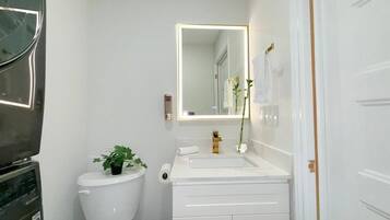 Hair dryer, towels, soap, toilet paper