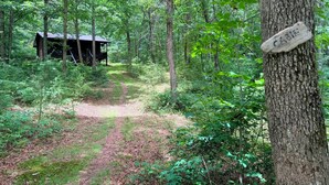 A cabin in a forest with a dirt path leading to it.