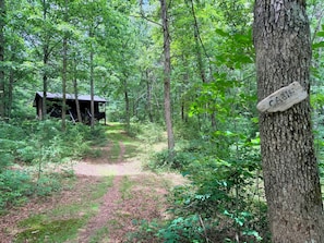 A cabin in a forest with a dirt path leading to it.