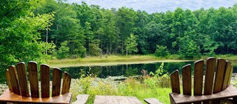 The Hemlock on the Lake