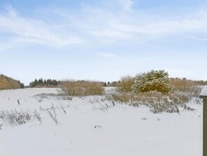 Schneebedeckte Landschaft mit vereinzelter Vegetation und blauem Himmel.