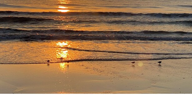 Unclassified image, 1 of 28, button - Waterfront Flagler Beach Retreat I 2 King Beds I 2 Full Baths I Kayaks (Flagler Beach)