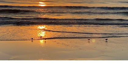 Waterfront Flagler Beach Retreat I 2 King Beds I 2 Full Baths I Kayaks
