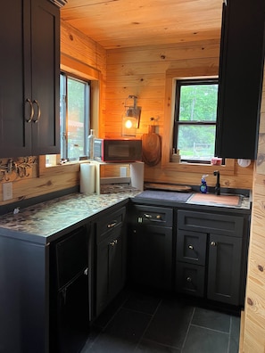 A compact kitchen with dark cabinets, a microwave, and a window with a view of greenery.