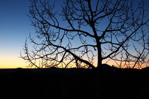 Miscellaneous - Escape the City to Enjoy Incredible Mountain Views (Bailey)