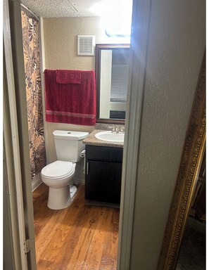 Bathroom - 1 Bedroom apartment Arlington FIFA Dallas Stadium 5 min drive -20 min walk (Arlington)