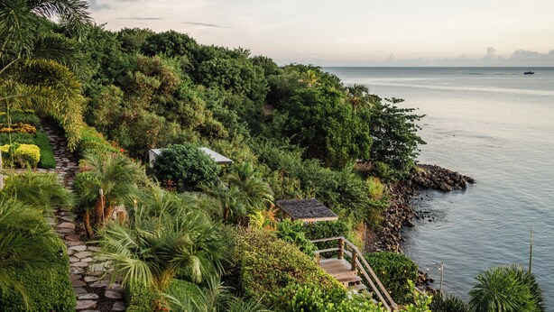 Un exuberante jardín con un sendero de piedra que lleva a una pequeña casa junto al mar.