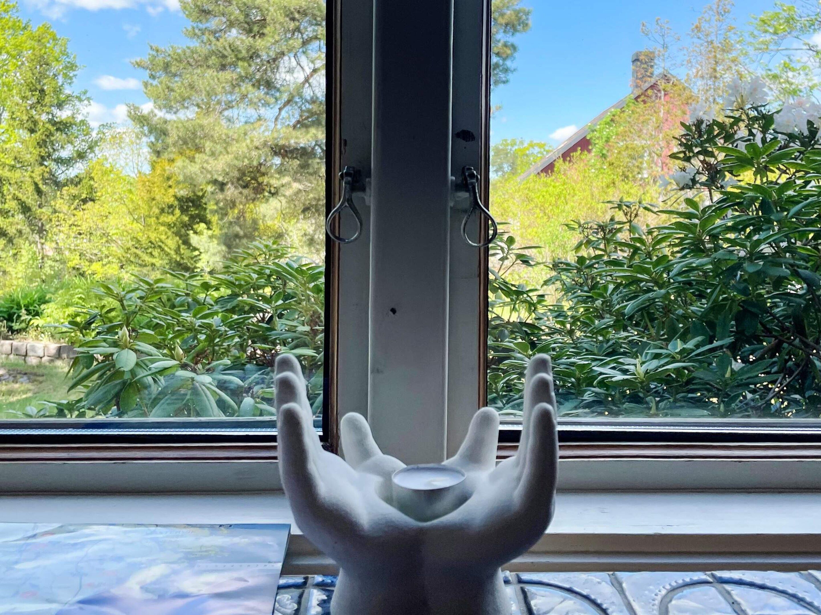 A window with a view of greenery and a building in the background.