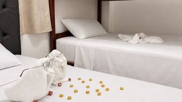 In-room safe, iron/ironing board, free WiFi