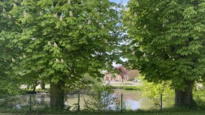 Ein Park mit Bäumen, einem Teich und einem Gebäude im Hintergrund.