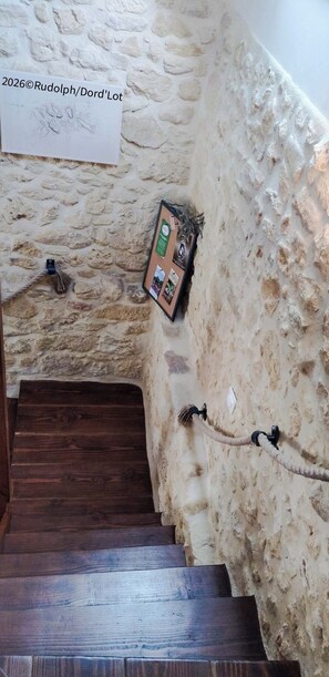 Parte interna
