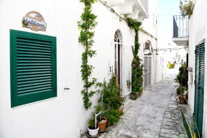 A narrow cobblestone alley with white buildings, green shutters, and potted plants. - Agata' House, nel fascino del borgo (Cisternino)