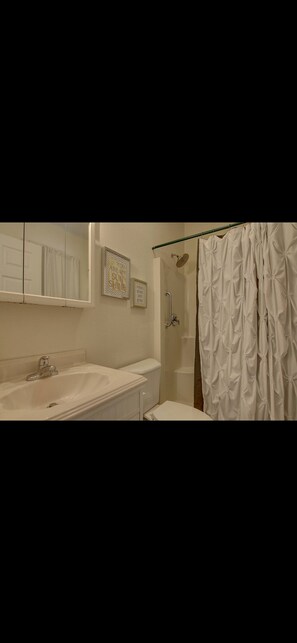 Bathroom - Cozy 1-bedroom apartment in charming Hendersonville with AC (Hendersonville)