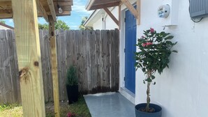 A wooden fence, a blue door, and a potted plant in a courtyard.