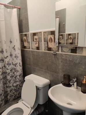 Ein Badezimmer mit Toilette, Waschbecken und Duschvorhang.