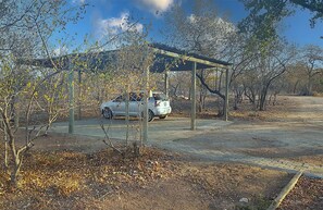 A parking area with a covered structure, a car, and sparse vegetation.
