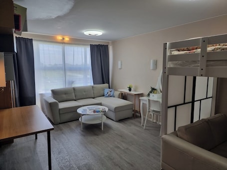 Living area. Spacious Room on Golden Circle Route