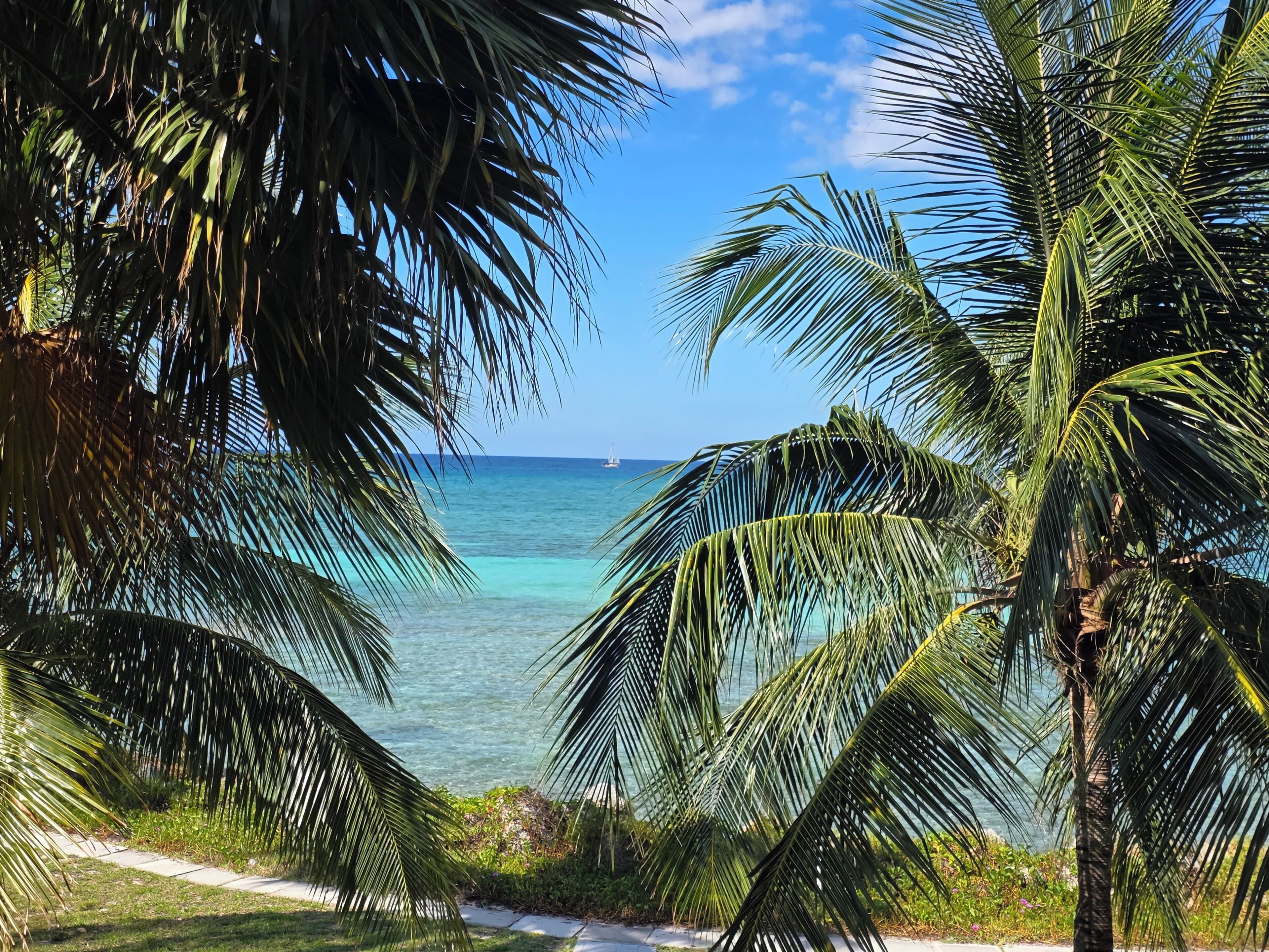 Sun-loungers, beach towels