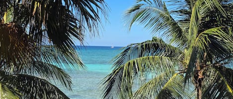 Camastros y toallas de playa