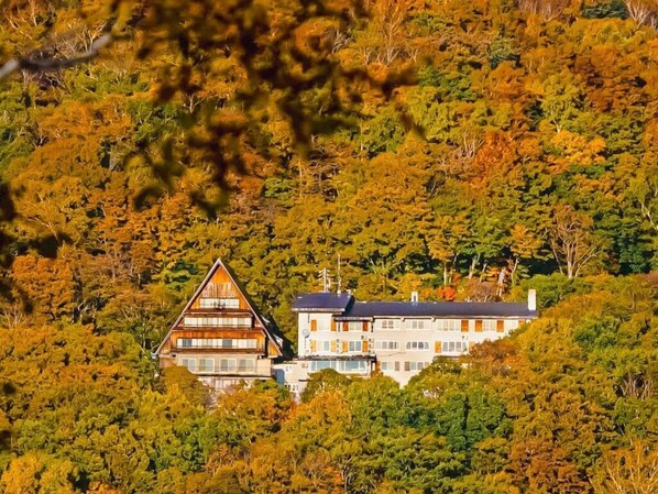 Un bâtiment à deux étages, surmonté d’un toit triangulaire, entouré d’une forêt dense.