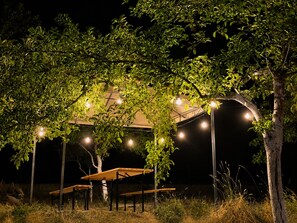Property grounds - Fabulous 2-bedroom house in Vusanje for a relaxing getaway (Vusanje)